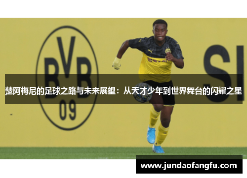 楚阿梅尼的足球之路与未来展望：从天才少年到世界舞台的闪耀之星